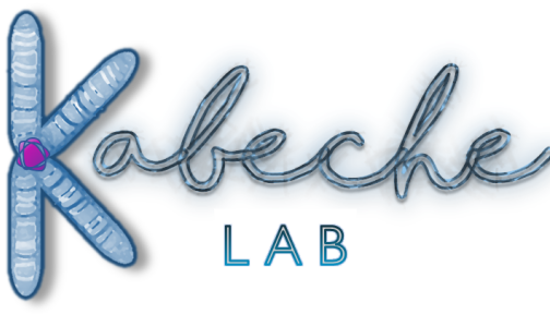 Kabeche Lab